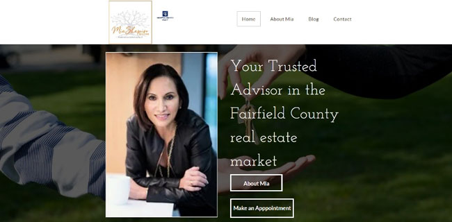 A website layout for real-estate business